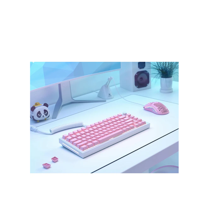 GSTORE9